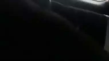 Sexy Lady Passanger Fucked By Car Driver